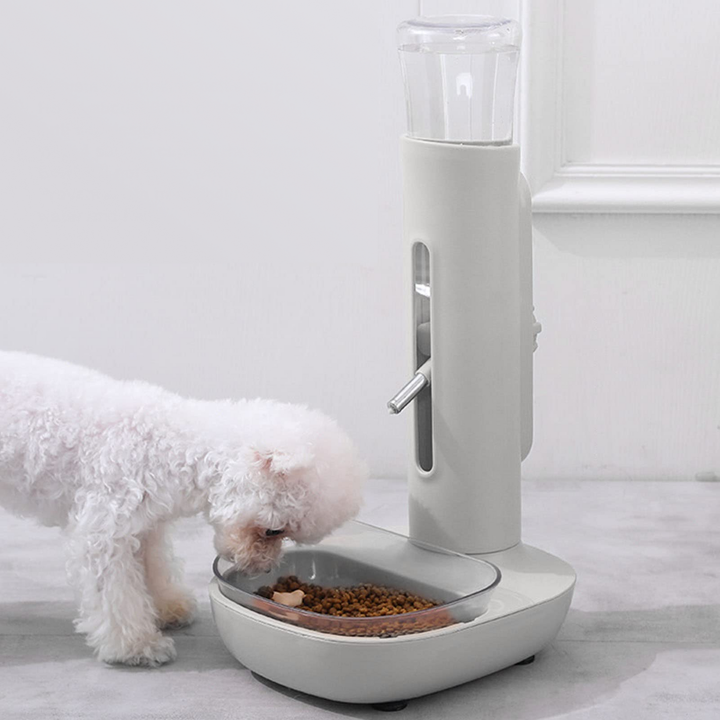 Automatic Dispenser
