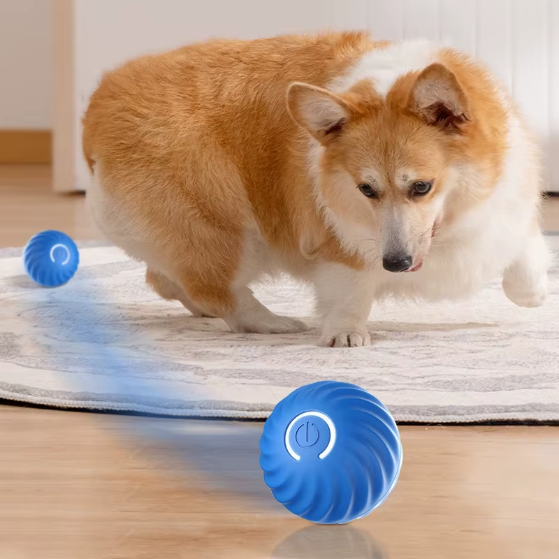Electric Dog Toy