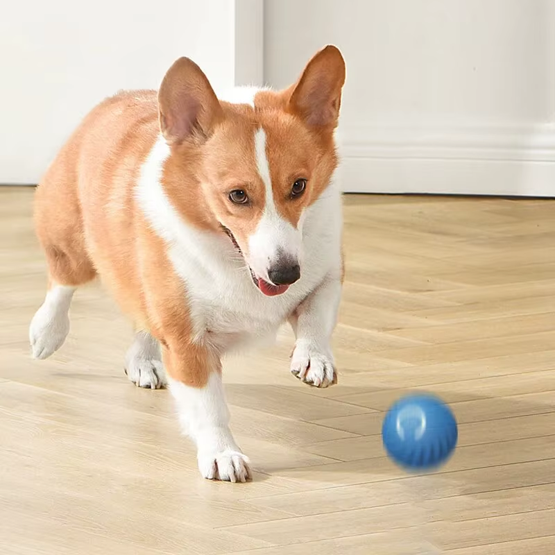 Electric Dog Toy