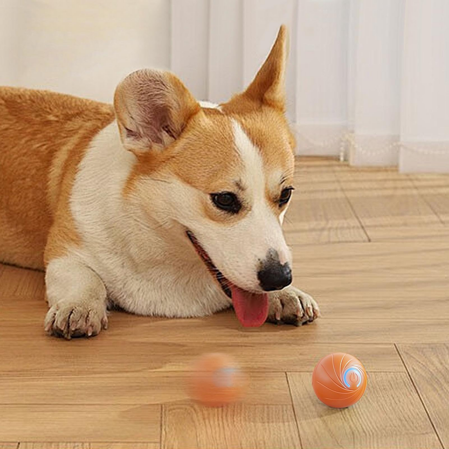 Electric Dog Toy